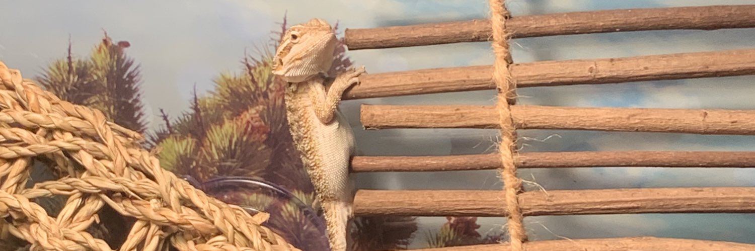Deideerrrr's profile banner image