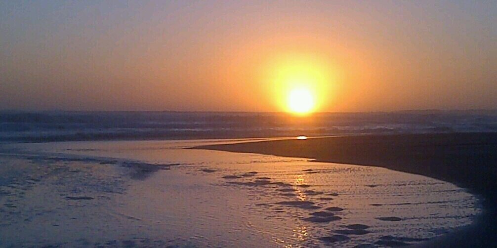 susand_p's profile banner image