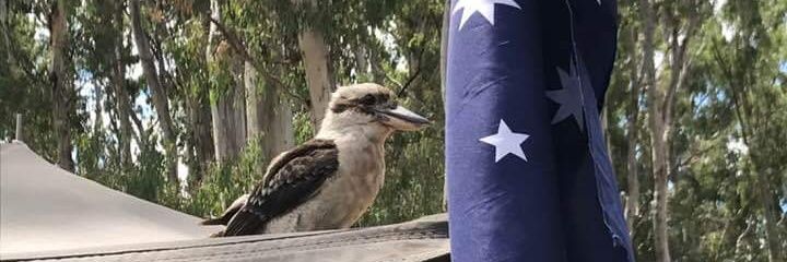 Angryaussie #LovesAustralia banner