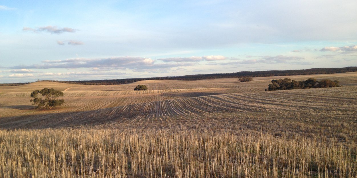 Simon Severin banner