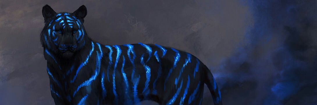 Starshadow89's profile banner image