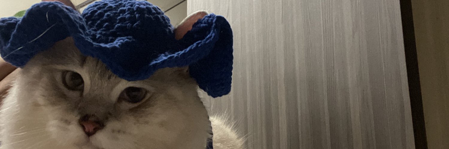 shhhhihui's profile banner image