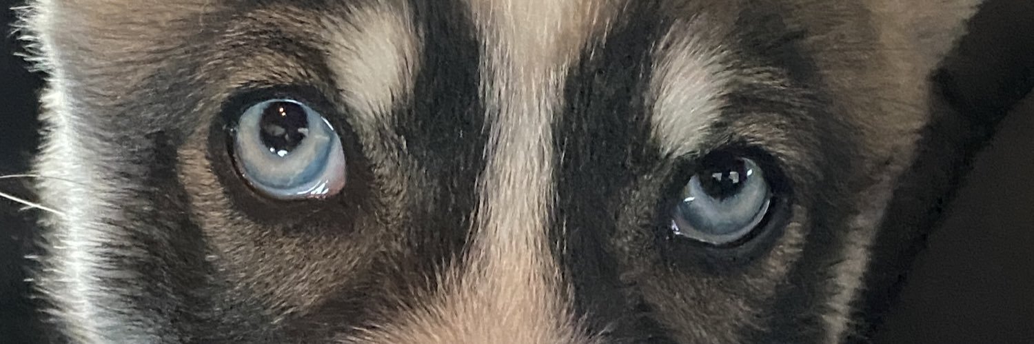 jennguck's profile banner image