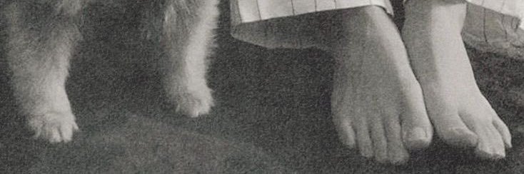 kaysters's profile banner image