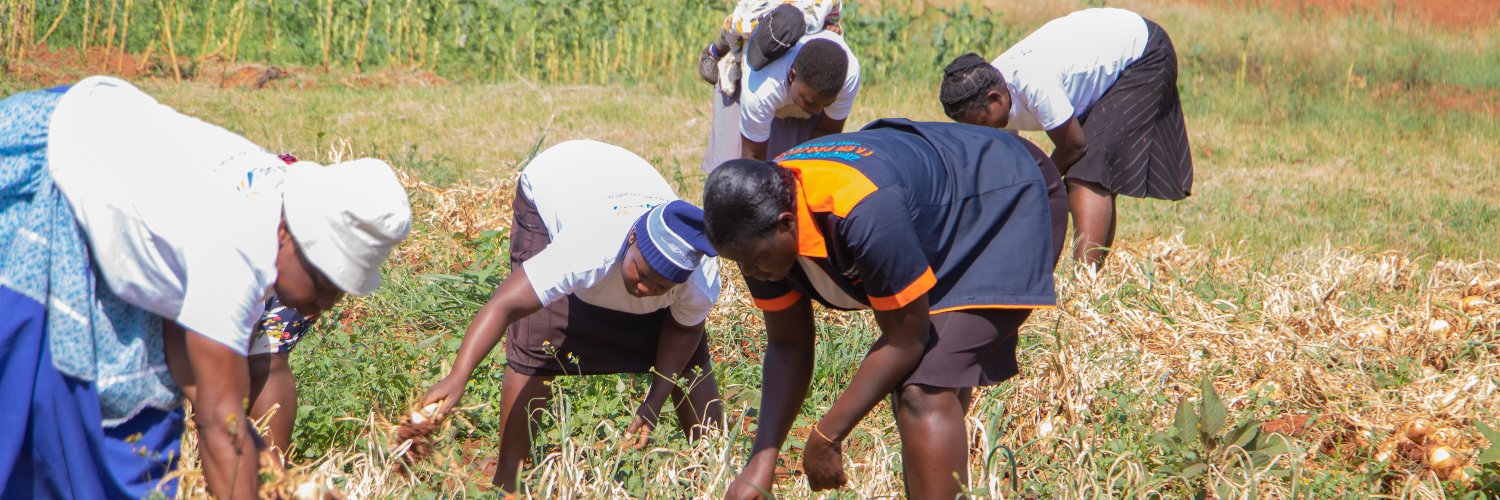 ZimFarm_Project's profile banner image