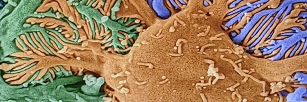 captainchloride Profile Banner