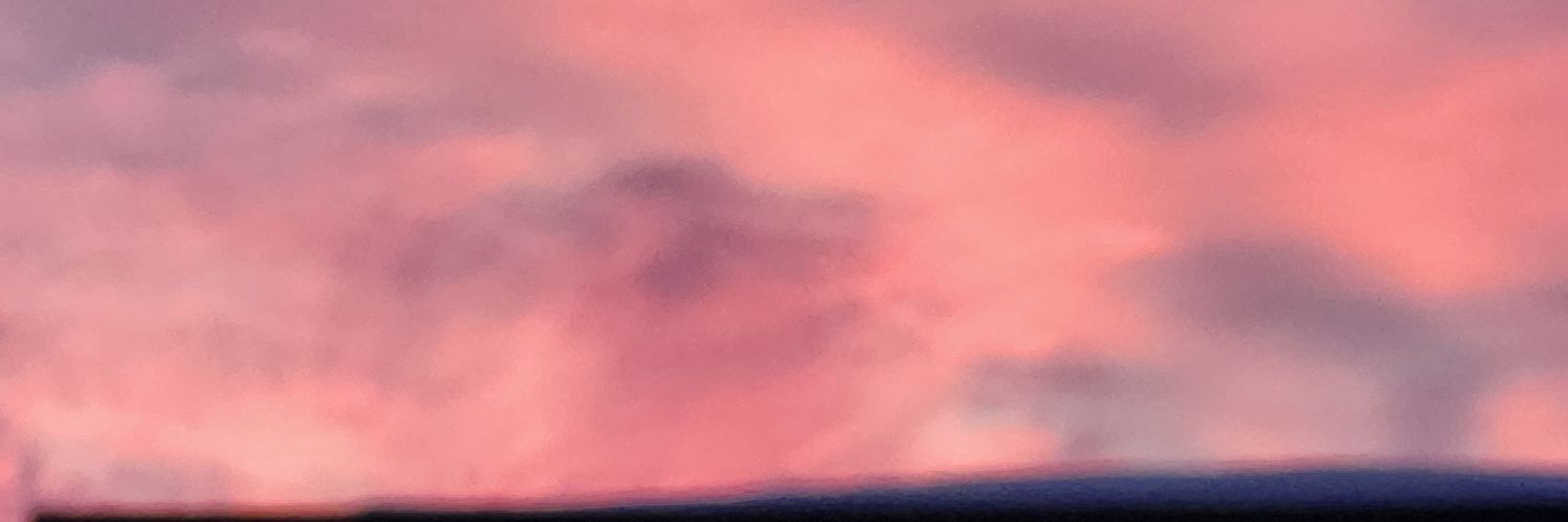 Momma2abunch's profile banner image