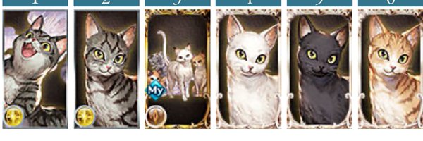 tscm1216 Profile Banner