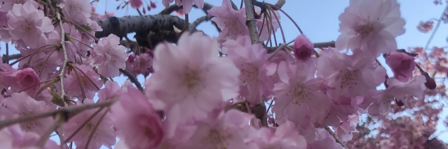 bbbghq1's profile banner image