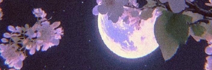 Devin Spencer banner