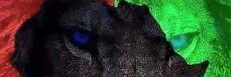 Az_CLOUD's profile banner image