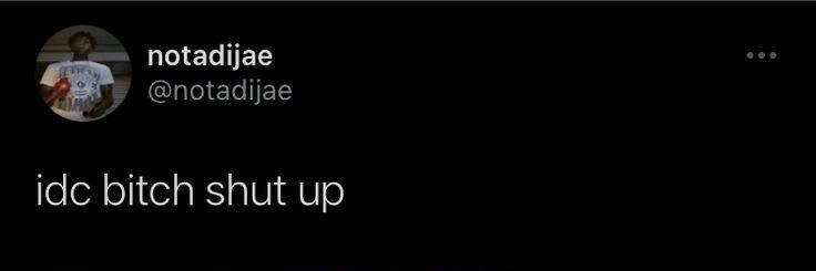 ✧.* rayne ✧.* banner