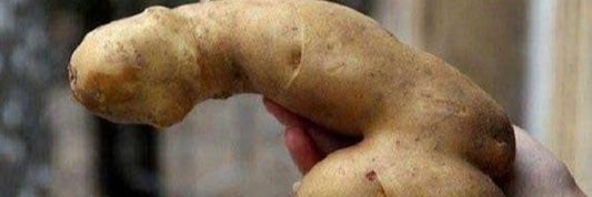 ULO banner