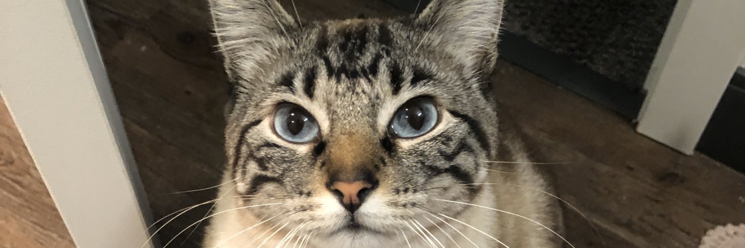 tay_neil's profile banner image