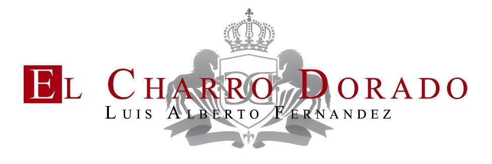 luisalbertomusc's profile banner image