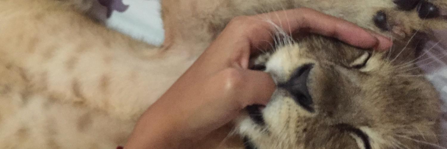 efeeer's profile banner image