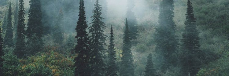 CaseyMckena's profile banner image