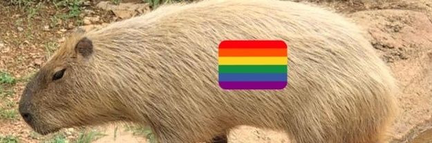 Roxanne Debris banner