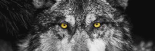TyTooSmooth__'s profile banner image