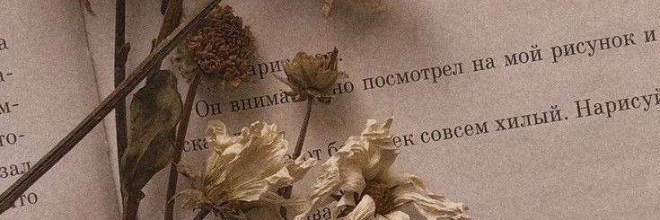 mhh1805's profile banner image