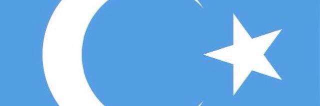 aln63's profile banner image