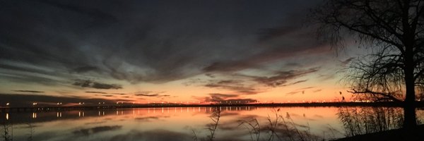 SSummersell Profile Banner