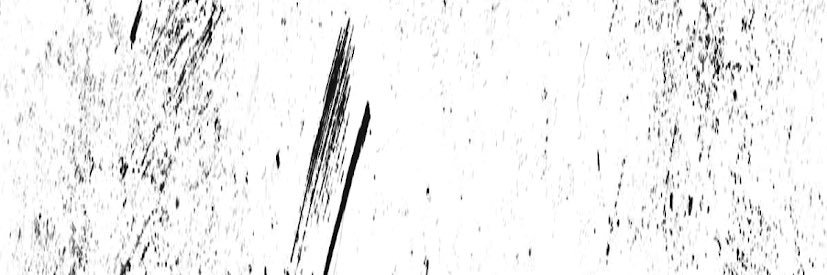 Born Into Dreams banner