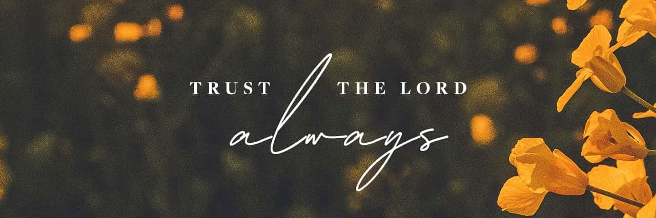 anyamca's profile banner image