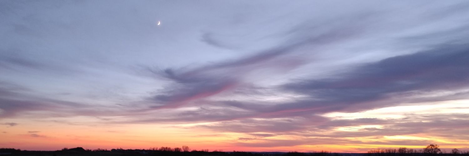 SashaAlessa's profile banner image