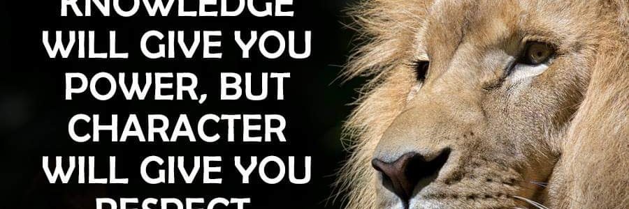 thegreat_you's profile banner image