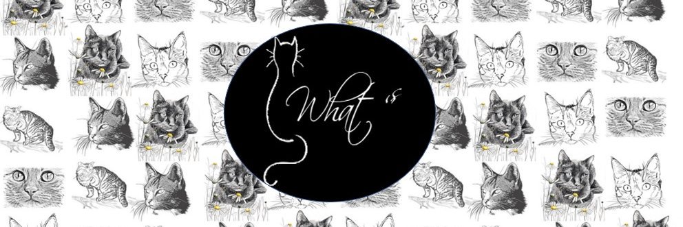 Whats_Patch's profile banner image