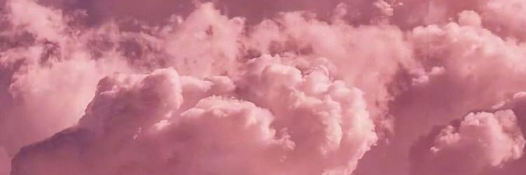 cardinal_dreams's profile banner image