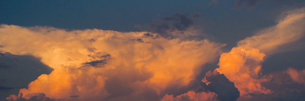 IIIBUDOUIII Profile Banner