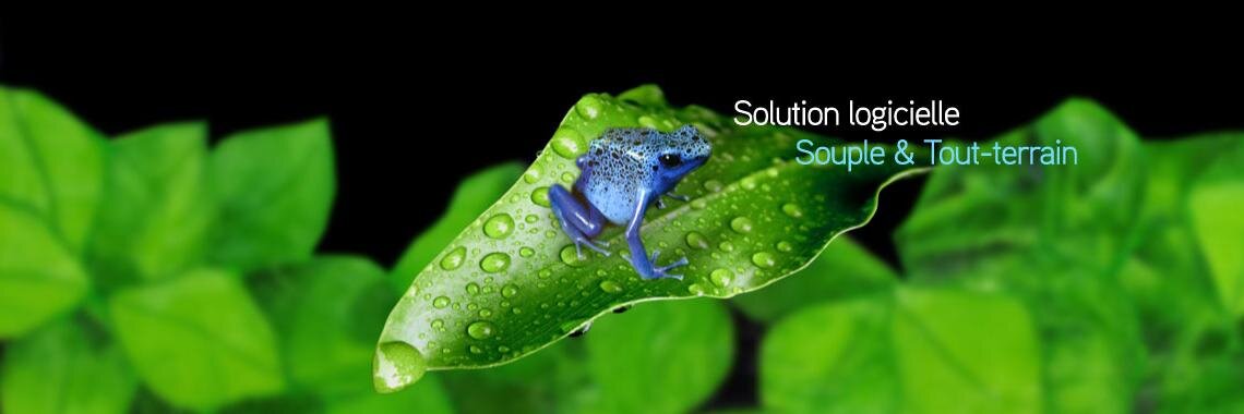 Blue note systems banner