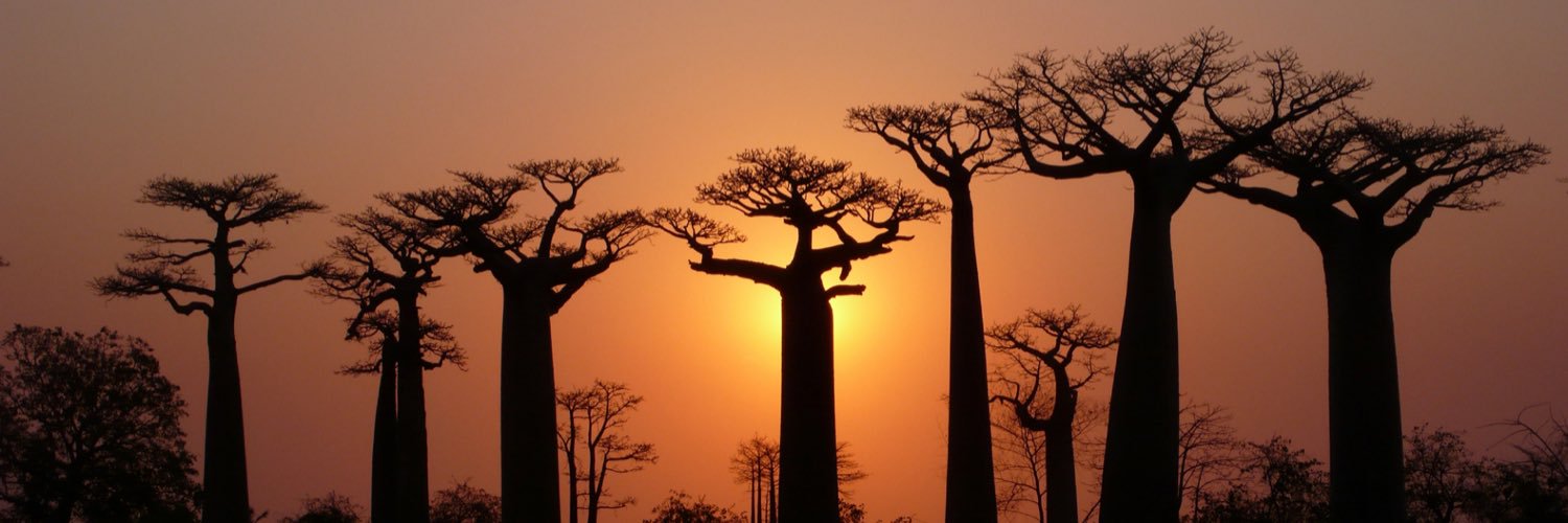 BaobabInclusive's profile banner image