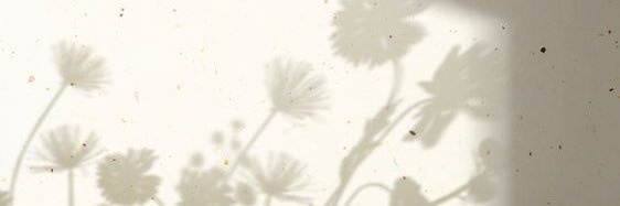 fdaraaaa's profile banner image