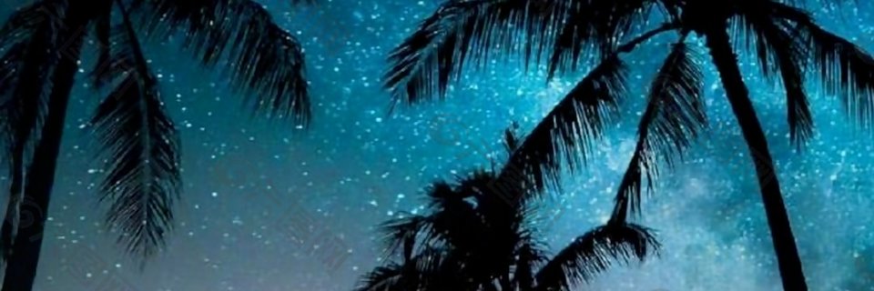 romanconnie27's profile banner image