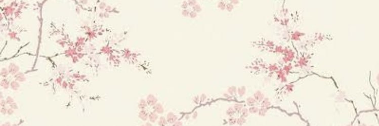 orrsum16's profile banner image