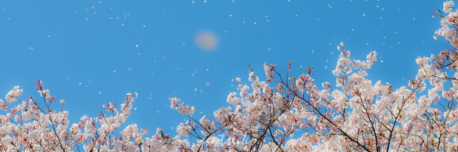 nutcookie's profile banner image