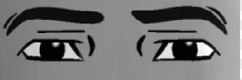 Veronesi banner