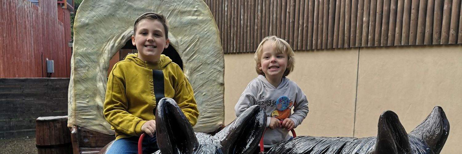 Damon Waldrum banner