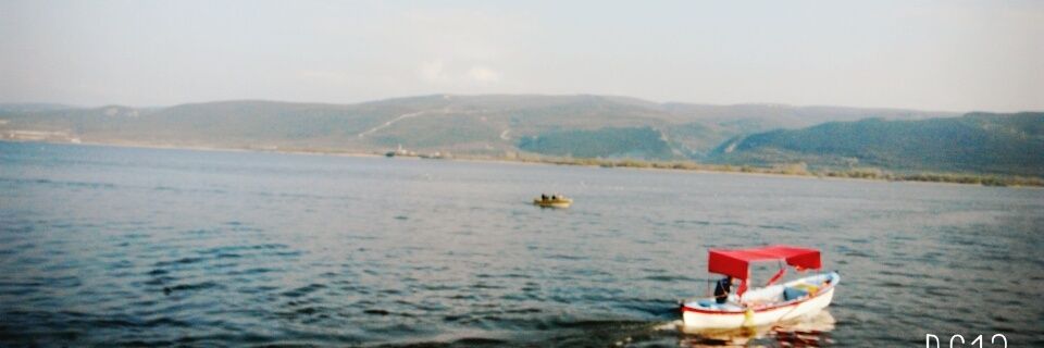 selinsysal's profile banner image