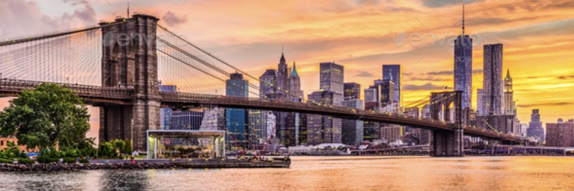 Alina Masters-Israilov, MD banner