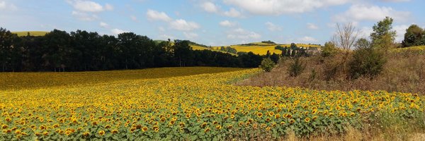 MickaelPourcelo Profile Banner