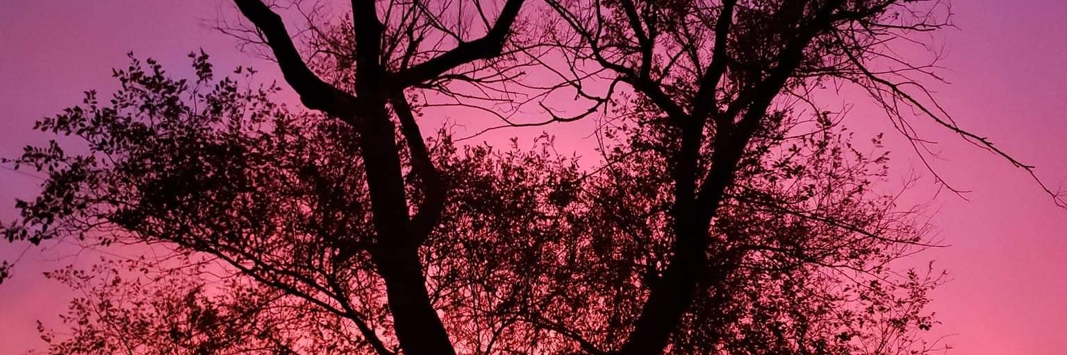 twisted_pixie86's profile banner image