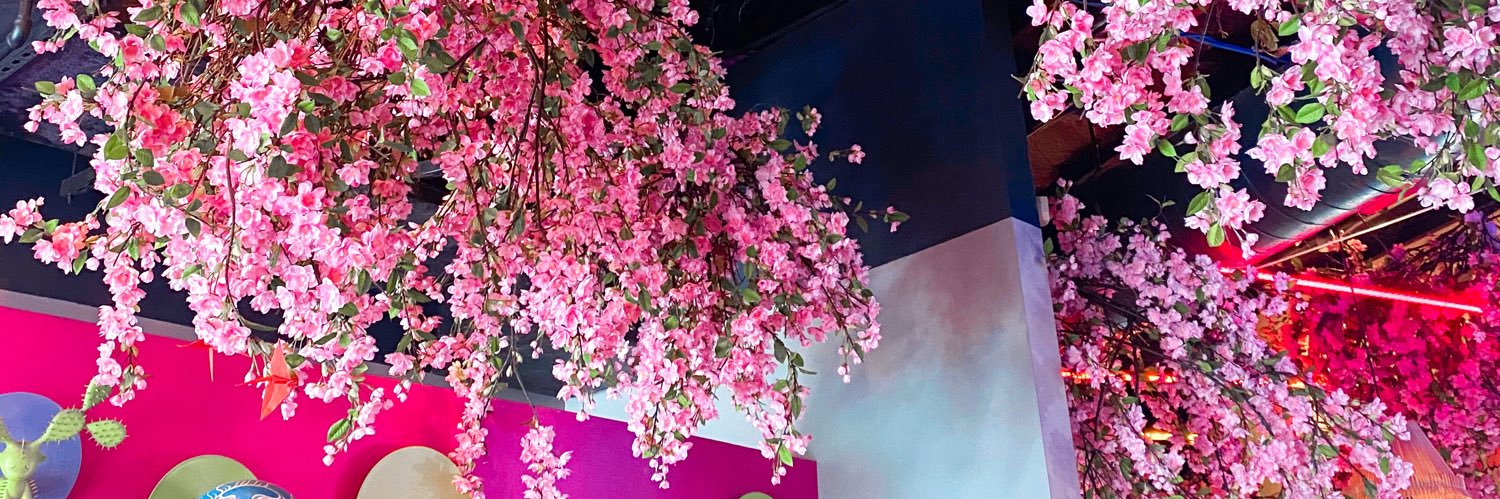 Natasha Zorbas banner