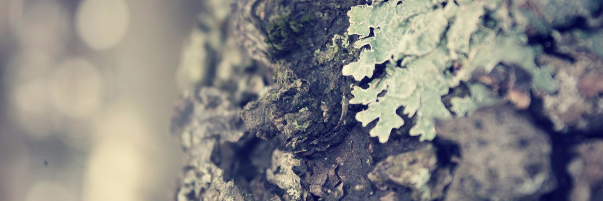 matticism's profile banner image