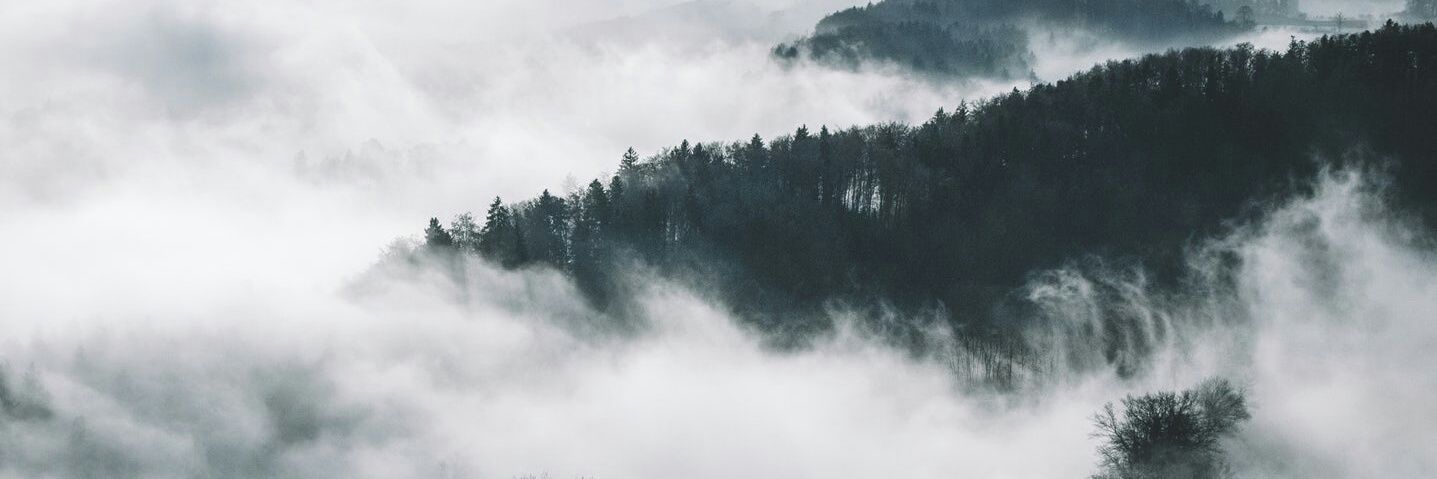 Fin. 등화가친 (燈火可親) banner