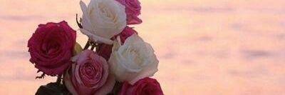 Noha1405's profile banner image