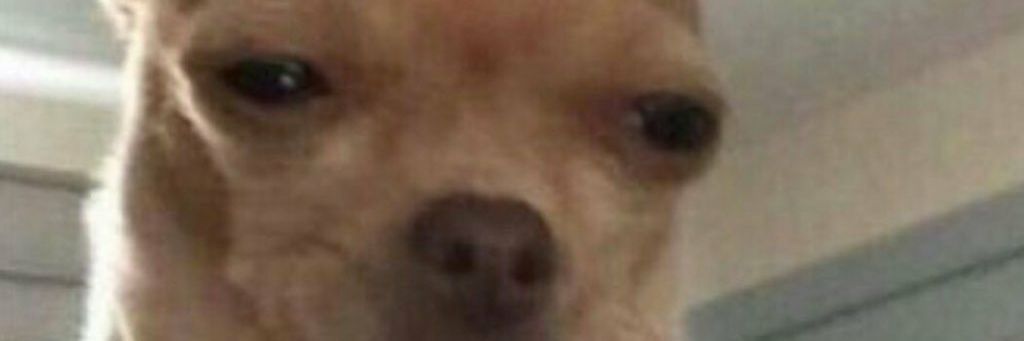 ᵂAᵛY 🎈 banner